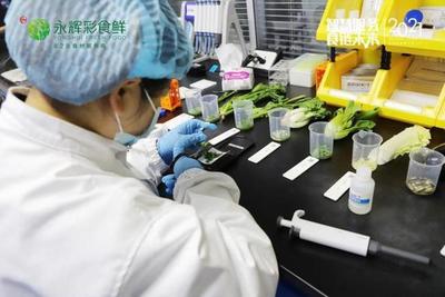 B2B食材新标杆 永辉彩食鲜如何以科技与标准重塑农产品供应链，保障食品安全